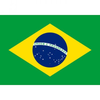 Brazil Flag