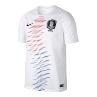 Nike Korea Men's Away Stadium Jersey 2018/19