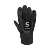 Select Player's Glove