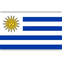 Uruguay National Flag