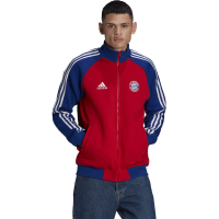 adidas Men's FC BAYERN 21/22 ANTHEM JACKET (RED/MYSTERY, X-Large)