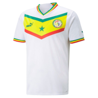 PUMA Senegal Home Men's World Cup Soccer Jersey 22/23 (as1, Alpha, 3X_l, Regular, Regular, 3X-Large) White