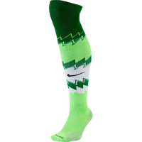 Nike Nigeria Stadium Knee High Socks 20-21 (L)