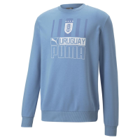 PUMA Men's Standard AUF FTBLCore Hoodie, Silver Lake Blue White, Small