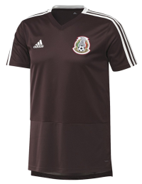 adidas Men's Soccer Mexico Training Jersey (Medium)
