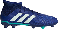 adidas Predator 18.1 Fg Junior Casual Shoes (Boys), Blue, 6