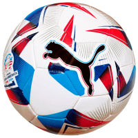 PUMA Cumbre Conmebol Copa America 2024 Training Ball 24/25 (White/Multi Color, 5)
