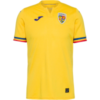 Romania Men's Home Football Shirt Soccer Jersey 2023-2024 (as1, Alpha, l, Regular, Regular) Yellow