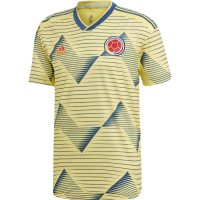 adidas Men's Colombia Home Authentic Jersey 2019-LIGHT YELLOW/NIGHT MARINE (XL)