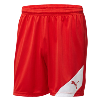 Puma Santiago TJ Mens Short