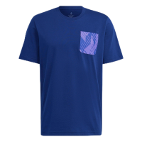 adidas Men's Argentina Graphic Tee (as1, Alpha, s, Regular, Regular, Small)