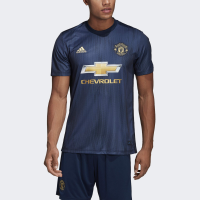 Adidas Manchester United 3rd Jersey (Small)