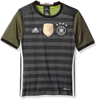 adidas Boys' Soccer Youth Germany Jersey, Dark Grey Heather/Legacy, X-Small